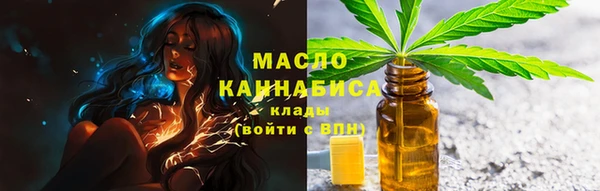 дмт Богданович